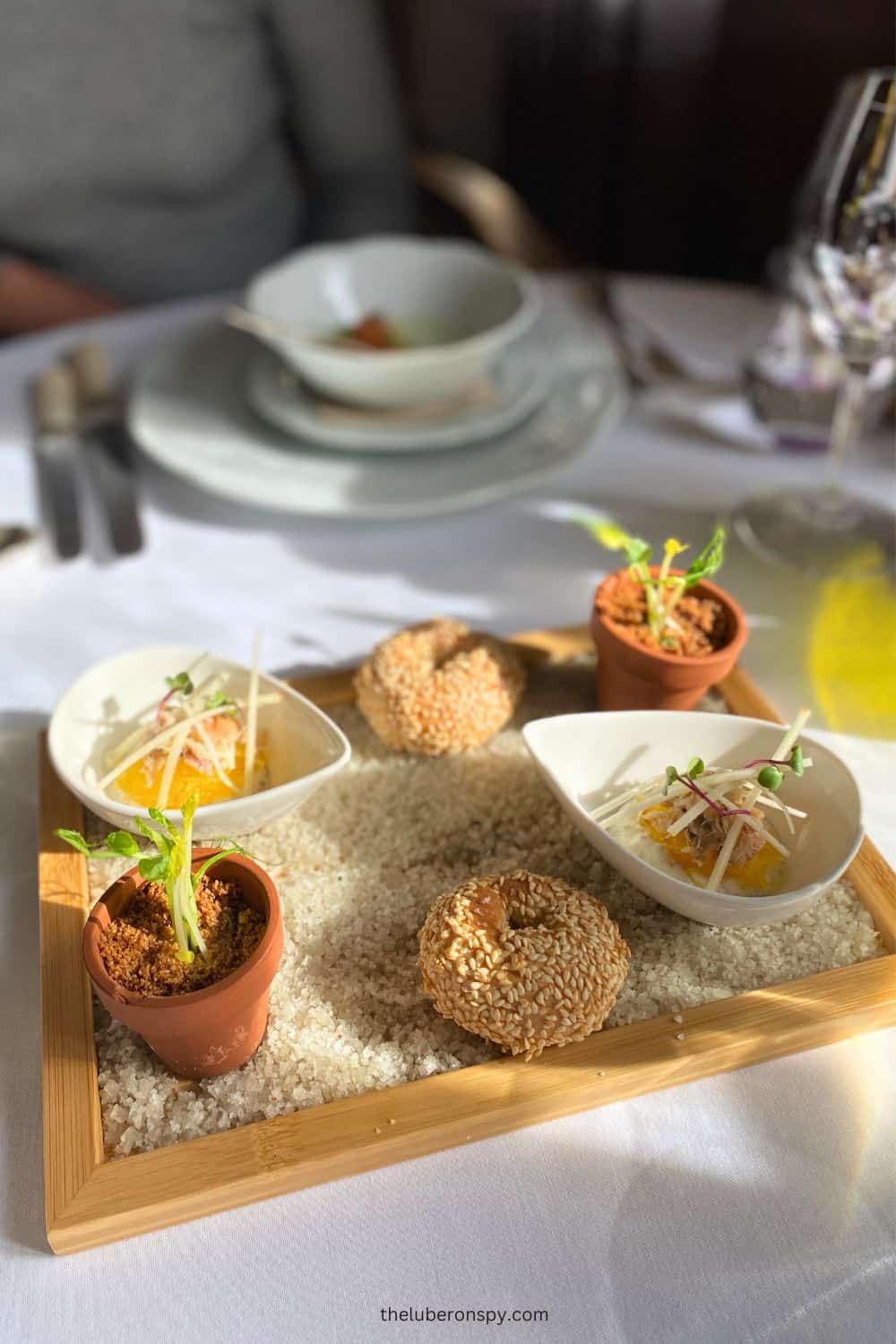 A beautifully presented amuse-bouche with sesame bagels and mini potted plants at a fine dining restaurant.