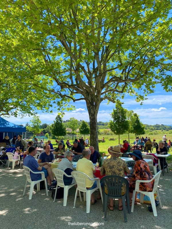 Groups of people enjoy a sunny day at a local market in Luberon, sitting under the shade of a large, leafy tree.