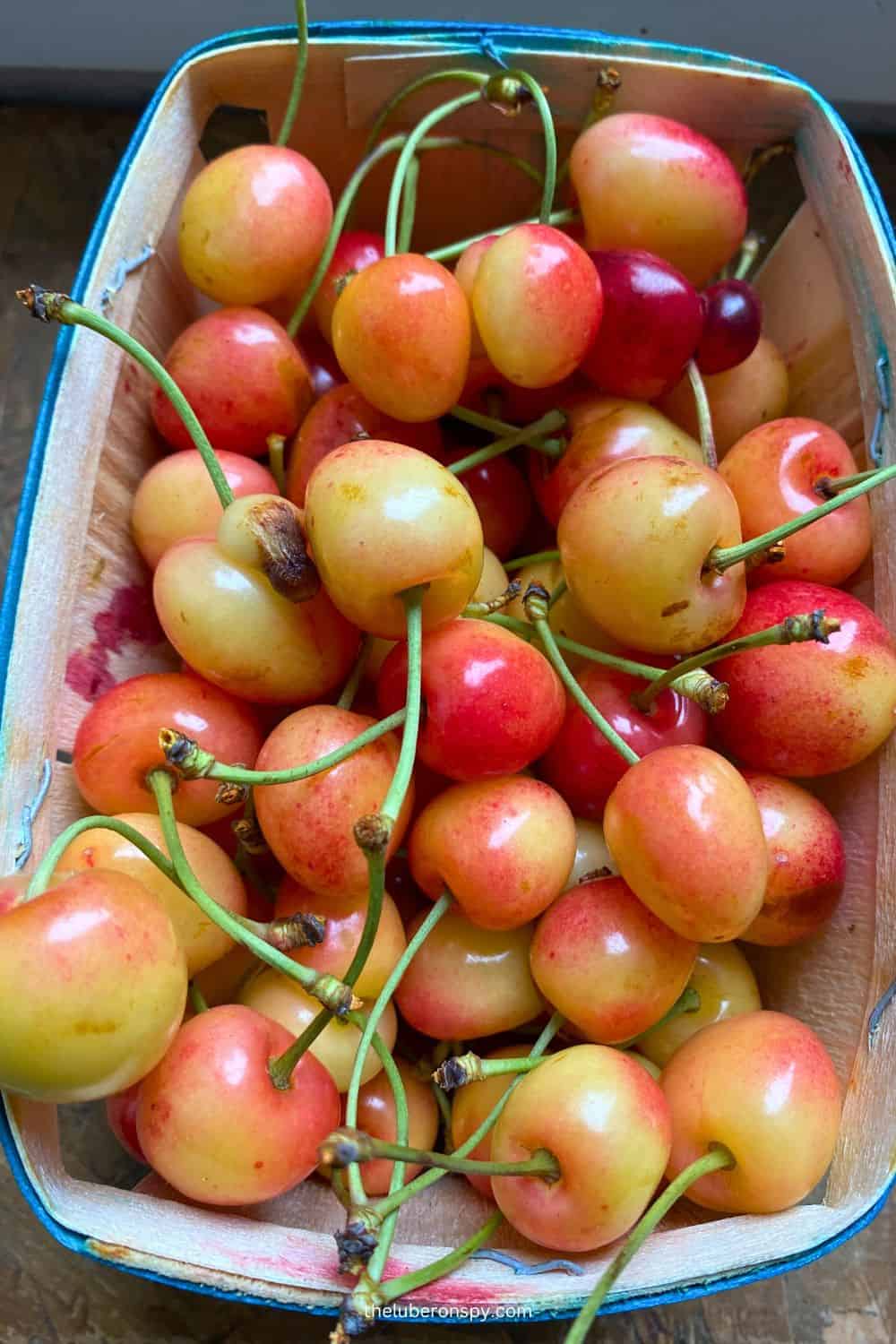 Close-up of a basket filled with ripe, golden-red cherries from Luberon.