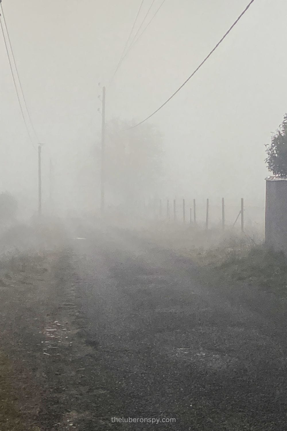 A dense fog blankets a rural road in Luberon during winter, reducing visibility and casting an ethereal atmosphere over the landscape.