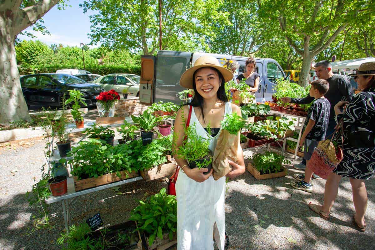 A woman (the writer) in a sun hat and summer dress smiles while holding potted plants at an outdoor market in Luberon, surrounded by other shoppers and vibrant greenery.