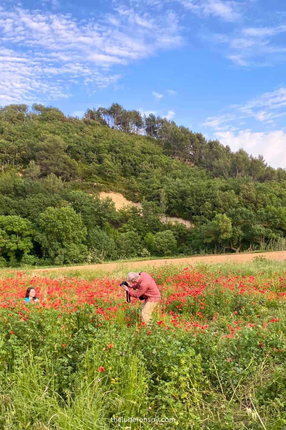 A photographer in a red plaid shirt captures the vibrant beauty of a poppy field, with a green hillside and trees under a partly cloudy sky.