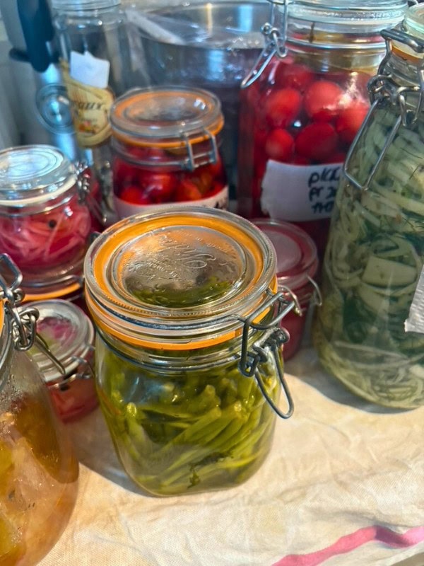 Close-up of assorted jars filled with colorful homemade pickles, including green beans, onions, cherry tomatoes, and zucchini ribbons, all sealed with clamp lids on a kitchen counter.