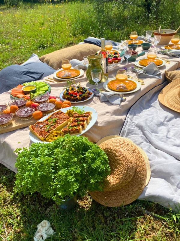 A vibrant outdoor picnic setup on a grassy field with colorful dishes including quiche, fruit, vegetable platters, desserts, and drinks, surrounded by pillows, a basil plant, and straw hats.