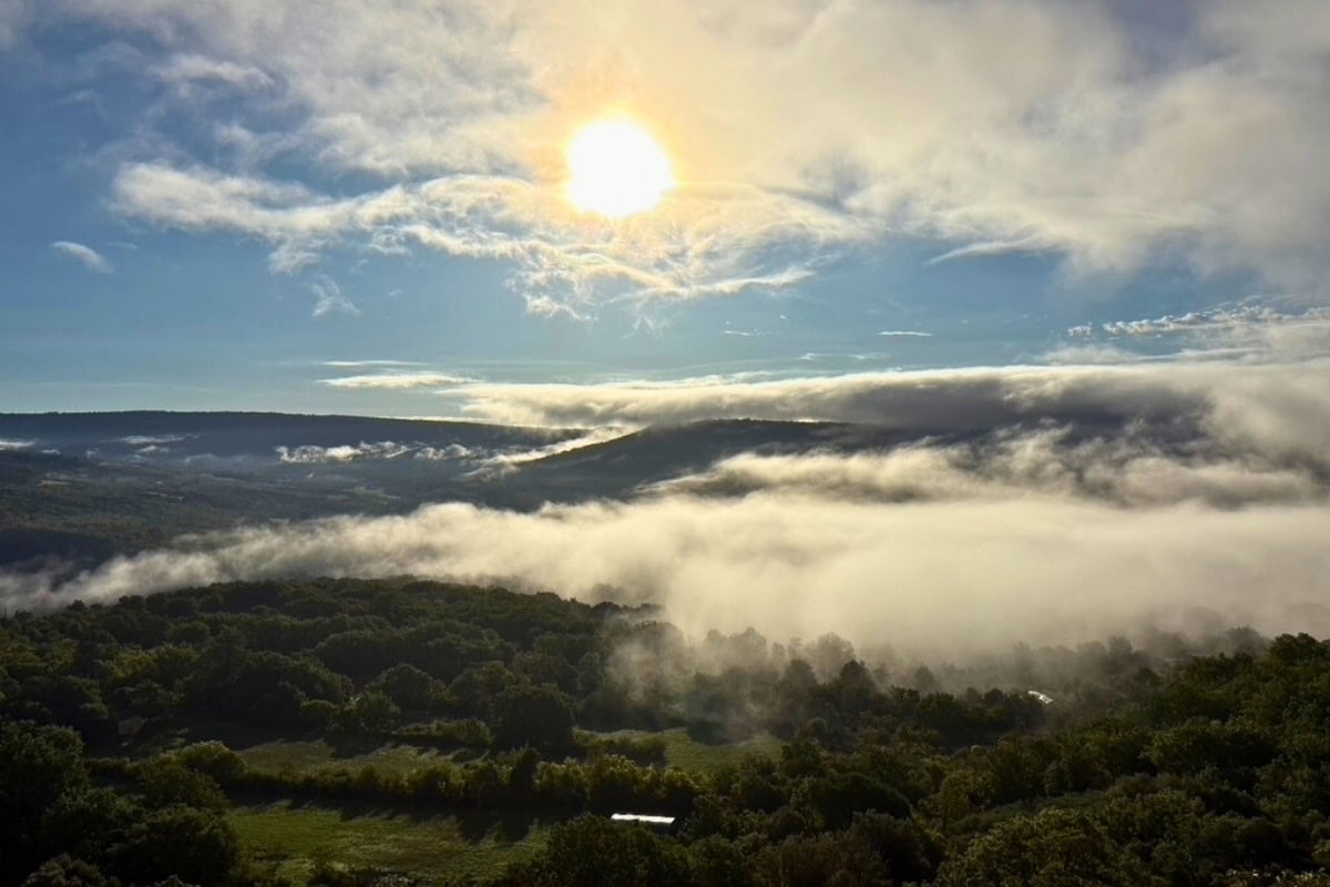 Golden sunrise over a mist-filled valley, with rolling hills and dense green forest partially covered by low clouds.