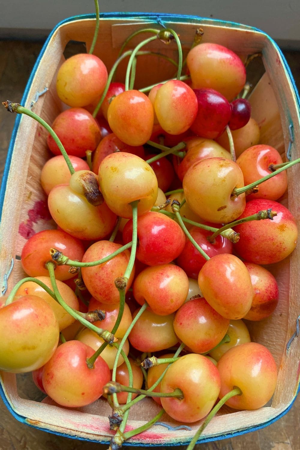 Fresh cherries in shades of yellow, pink, and red fill a basket at the Lourmarin market.