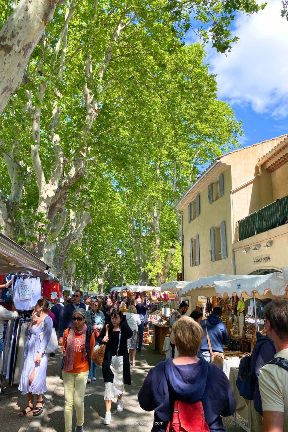 A summer Lourmarin market crowded with visitors beneath a lush canopy of green plane trees. Outdoor stalls display clothing, textiles, jewelry, and other goods beside the village's pastel colored buildings.